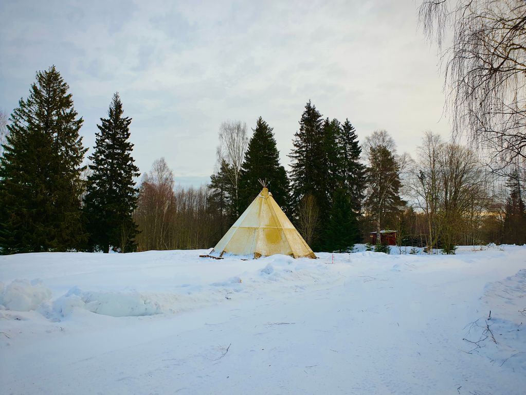 Zweden Winter Nieuw 11